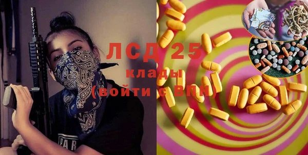 дживик Каменка