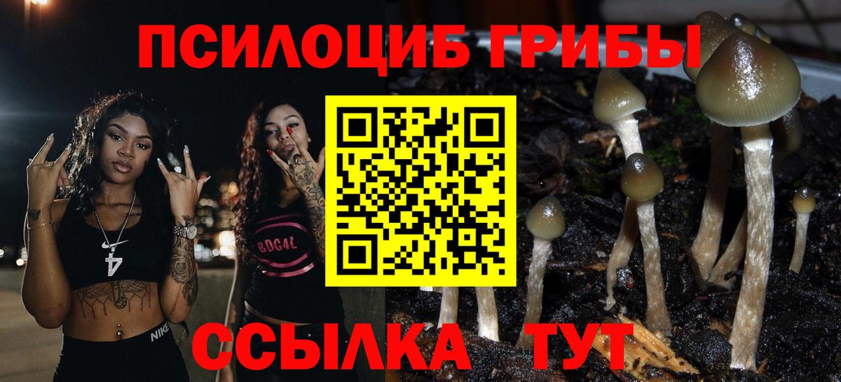 Псилоцибиновые грибы MAGIC MUSHROOMS Черногорск