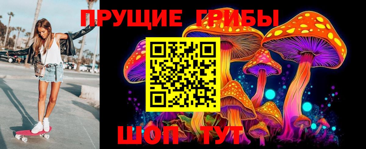 Черногорск  Галлюциногенные грибы Magic Shrooms  Вход с VPN 
